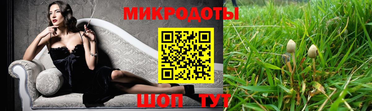 Тольятти  Псилоцибиновые грибы мухоморы  Псилоцибиновые грибы MAGIC MUSHROOMS  Вход с VPN 