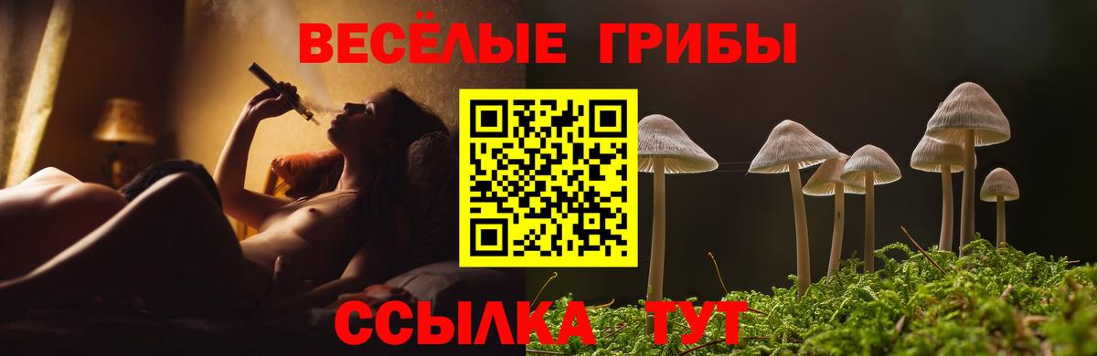 Псилоцибиновые грибы мухоморы Тольятти
